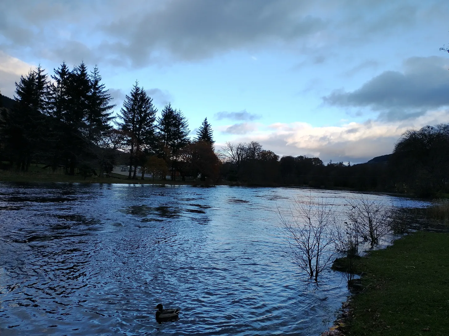 things do change — poem by David Moran, Tumbleweed Words